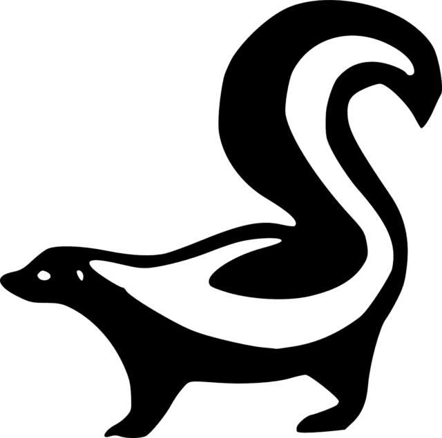 skunk, animal, black