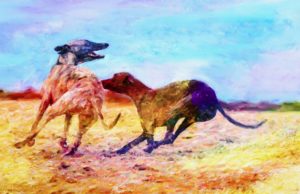 Dog Bites Dog: What Do You Do?