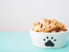 Sit, Stay, Shake: 5 Quick, Easy, and Healthy Dog Treat Recipes You Can Make Yourself