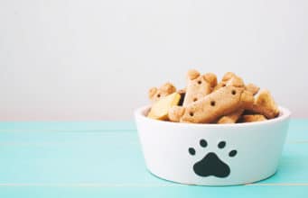 Sit, Stay, Shake: 5 Quick, Easy, and Healthy Dog Treat Recipes You Can Make Yourself