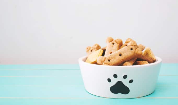 Sit, Stay, Shake: 5 Quick, Easy, and Healthy Dog Treat Recipes You Can Make Yourself
