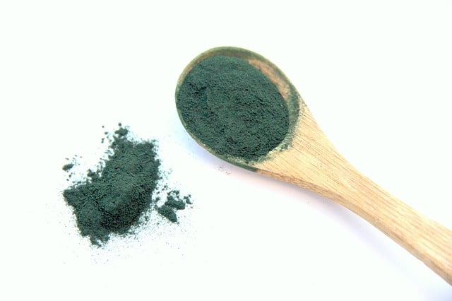 spirulina, alga, vegetable proteins