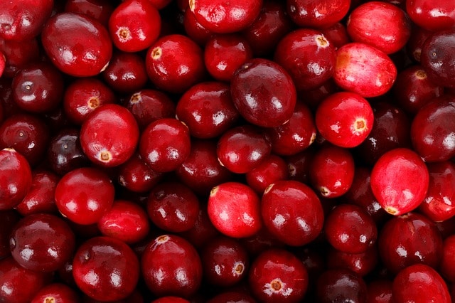 backdrop, background, berry