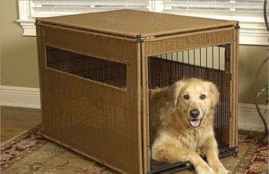 Everything You Need To Know About Dog Crates And Crate Training
