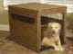Everything You Need To Know About Dog Crates And Crate Training