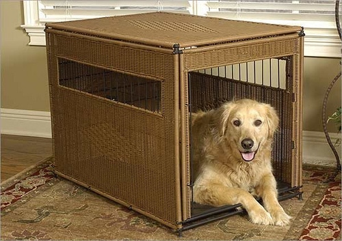 Crate Training - What you need to know