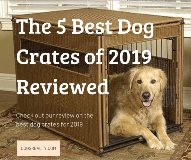 The 5 Best Dog Crates of 2019 Reviewed