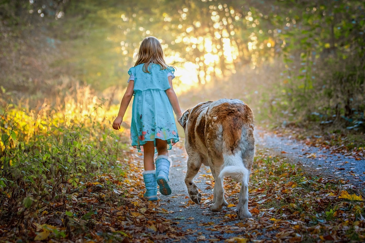 child, dog, forest