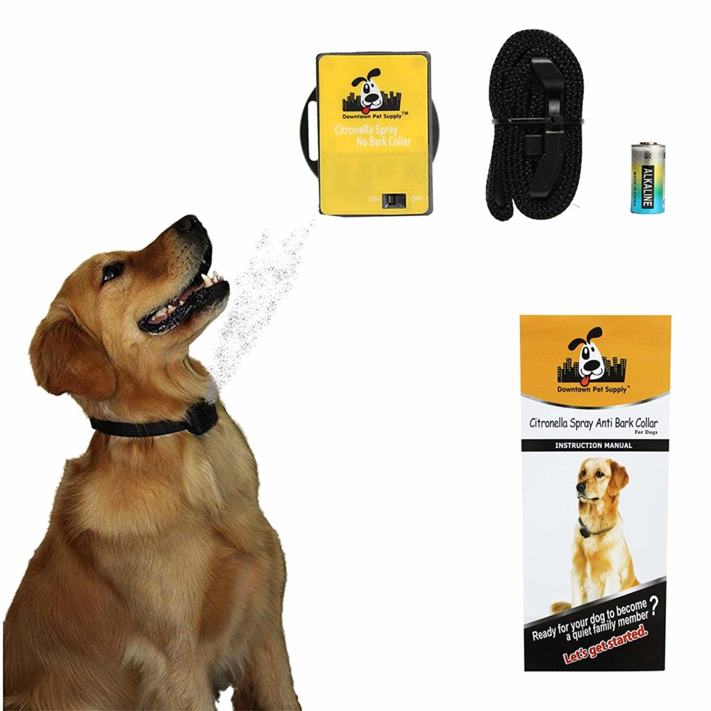 The Best CrueltyFree Dog Bark Collars of 2024 Review