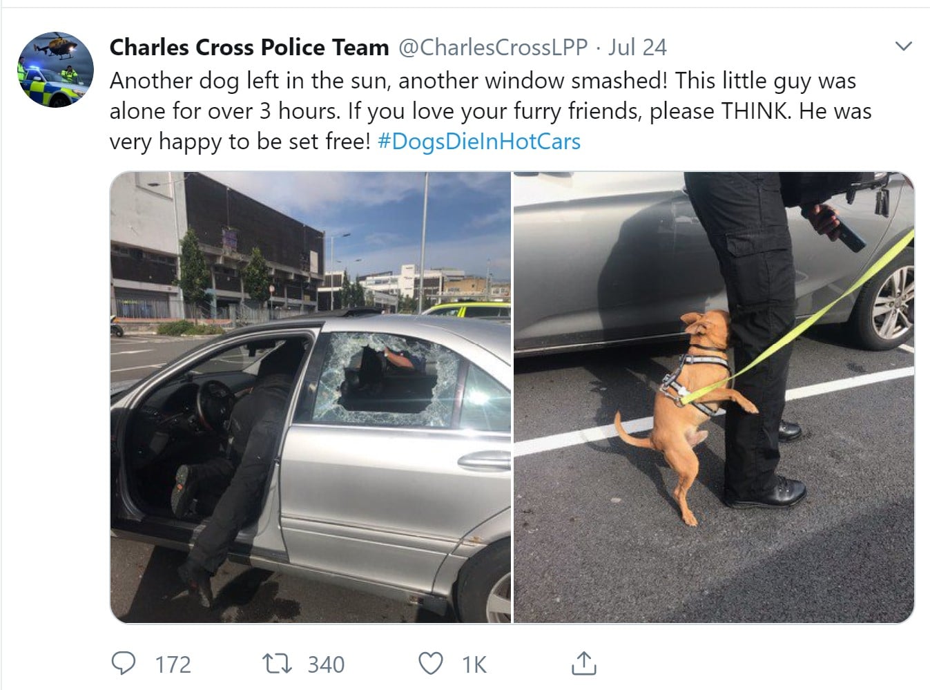 Charles Cross Police Tweet About Dog Rescue