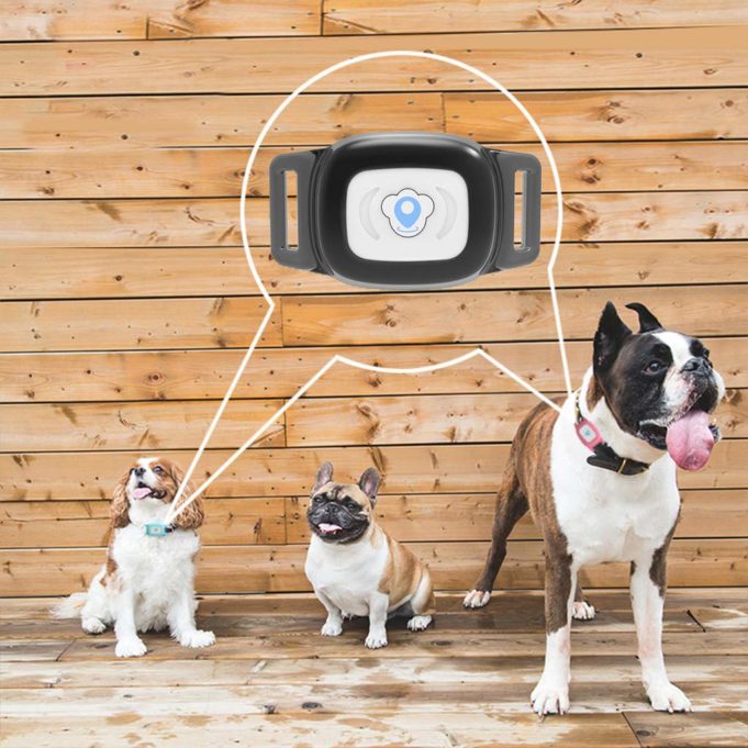 The 5 Best GPS Dog Trackers of 2022