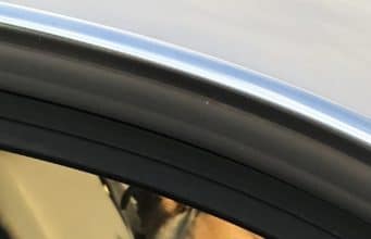 Police Smash Windows To Rescue Dogs Trapped In Hot Cars