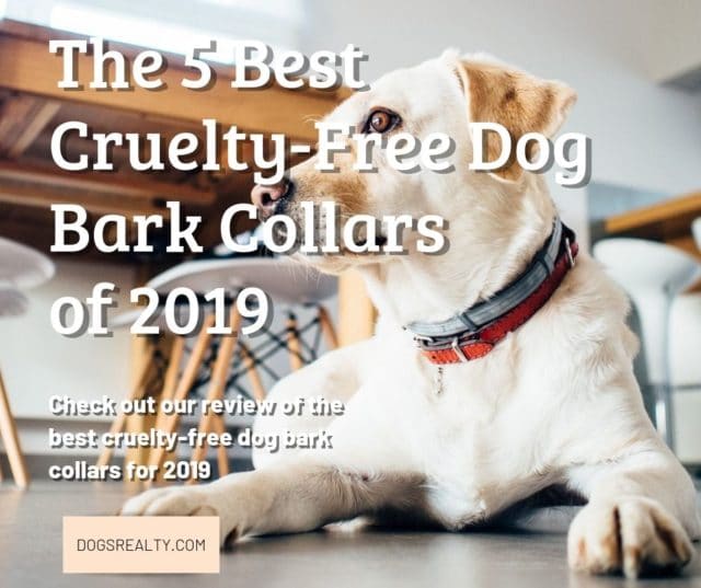 The Best Cruelty Free Dog Bark Collars Reviewed