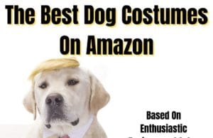 The Best Dog Costumes On Amazon, Based On Enthusiastic Reviews and Sales Best Dog Costumes Ideas