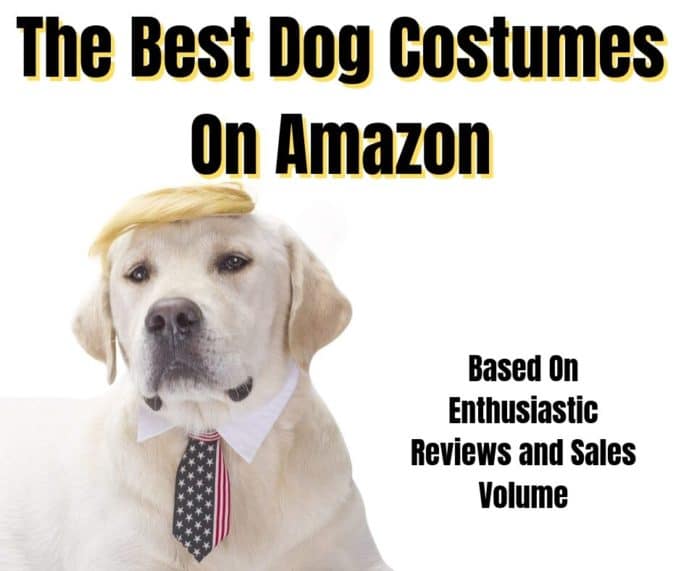 The Best Dog Costumes On Amazon, Based On Enthusiastic Reviews and Sales Best Dog Costumes Ideas