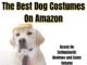 The Best Dog Costumes On Amazon, Based On Enthusiastic Reviews and Sales Best Dog Costumes Ideas