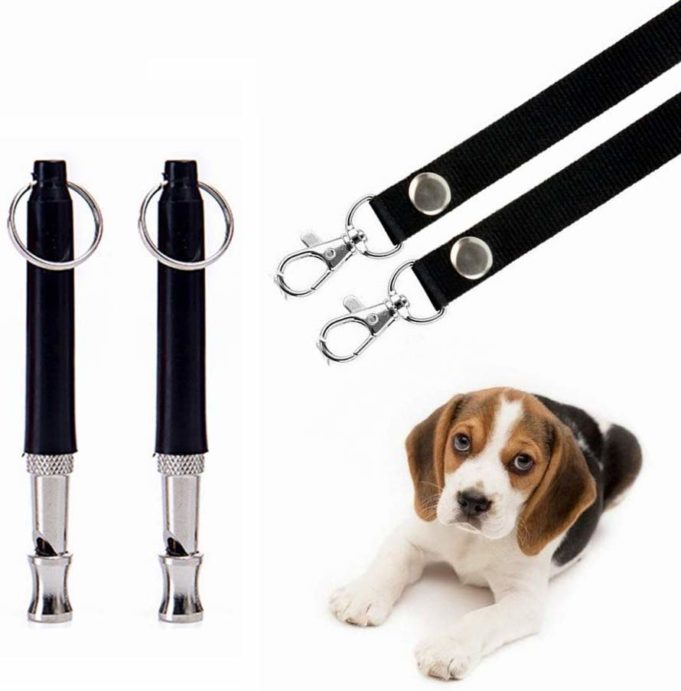Top Dog Products Buying Guide Dog Essentials