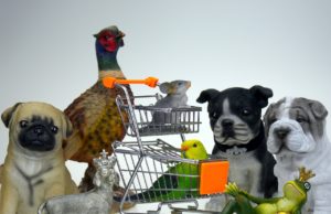 Top Dog Products Buying Guide – Dog Essentials Dog Shopping