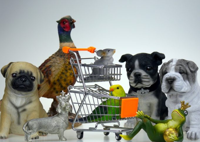 Top Dog Products Buying Guide – Dog Essentials Dog Shopping
