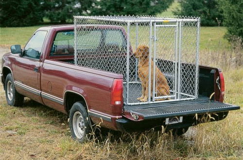 Portable Chain Link Kennel