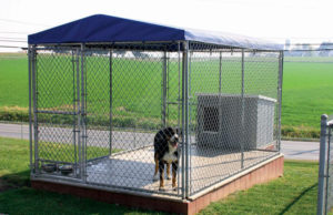 The Many Uses Of Chain Link Dog Kennels And Issues You Should Avoid Chain Link Dog Kennel