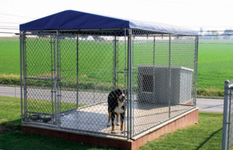 The Many Uses Of Chain Link Dog Kennels And Issues You Should Avoid Chain Link Dog Kennel