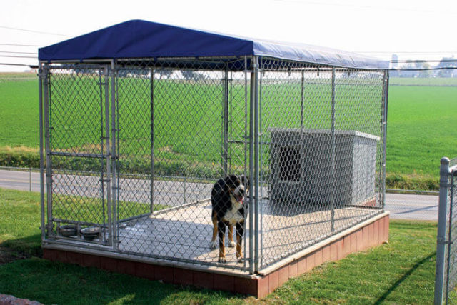 Chain Link Dog Kennel