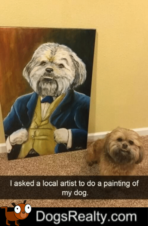 Dog Meme Portrait