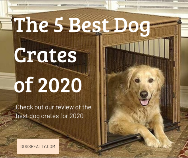 The 5 Best Dog Crates of 2020 The 5 Best Dog Crates of 2020