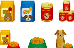 All Dog Foods Are Not The Same Different types of dog food