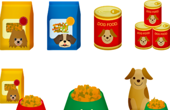 All Dog Foods Are Not The Same Different types of dog food