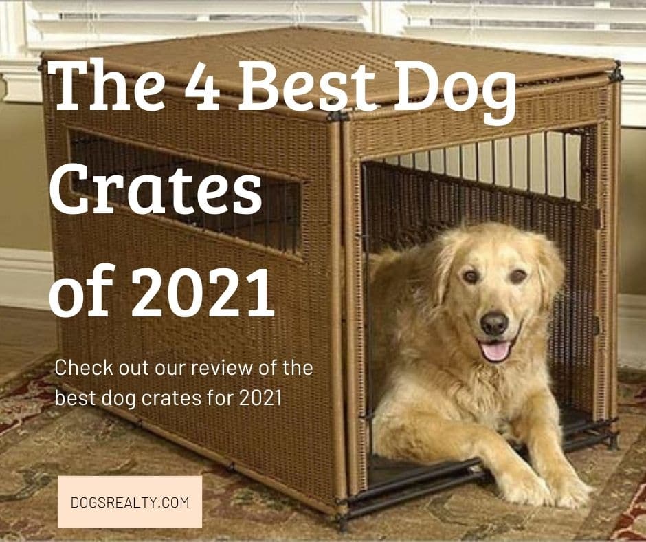 The 4 Best Dog Crates of 2021 Review