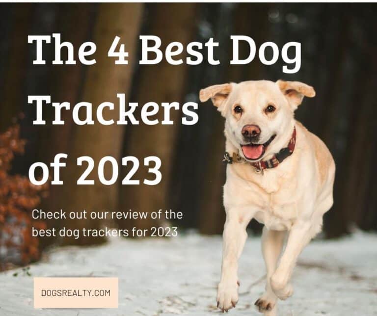 The 4 Best GPS Dog Trackers Of 2023 - DogsRealty.com