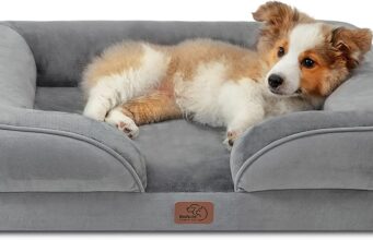 Bedsure Orthopedic Dog Bed Review