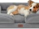 Bedsure Orthopedic Dog Bed Review