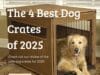 The 4 Best Dog Crates of 2025 Review Best Dog Crates of 2025