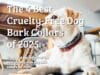 The Best Cruelty-Free Dog Bark Collars of 2025 Review
