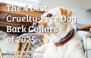 The Best Cruelty-Free Dog Bark Collars of 2025 Review
